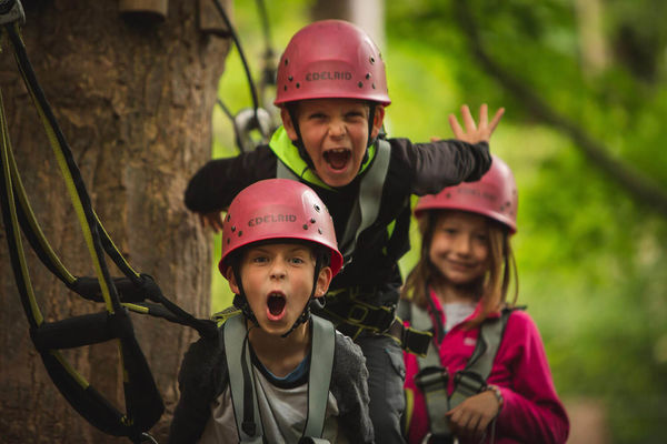 Squirrel's Scramble - Tree Adventure Park | Kilruddery | Bray Wicklow